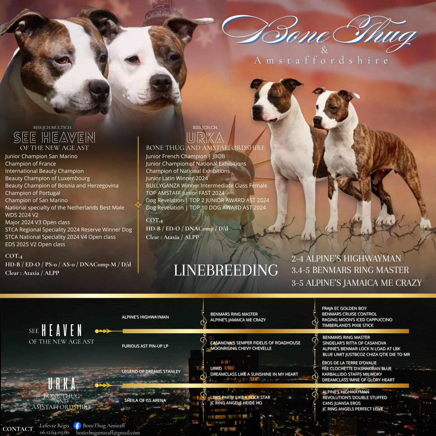 Chiot American Staffordshire Terrier Regis Lefevre